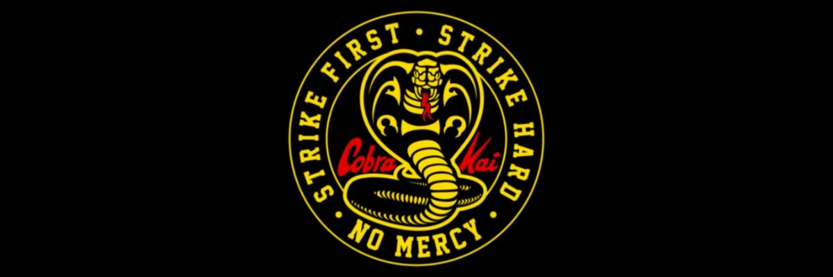 Cobra Kai The Banner