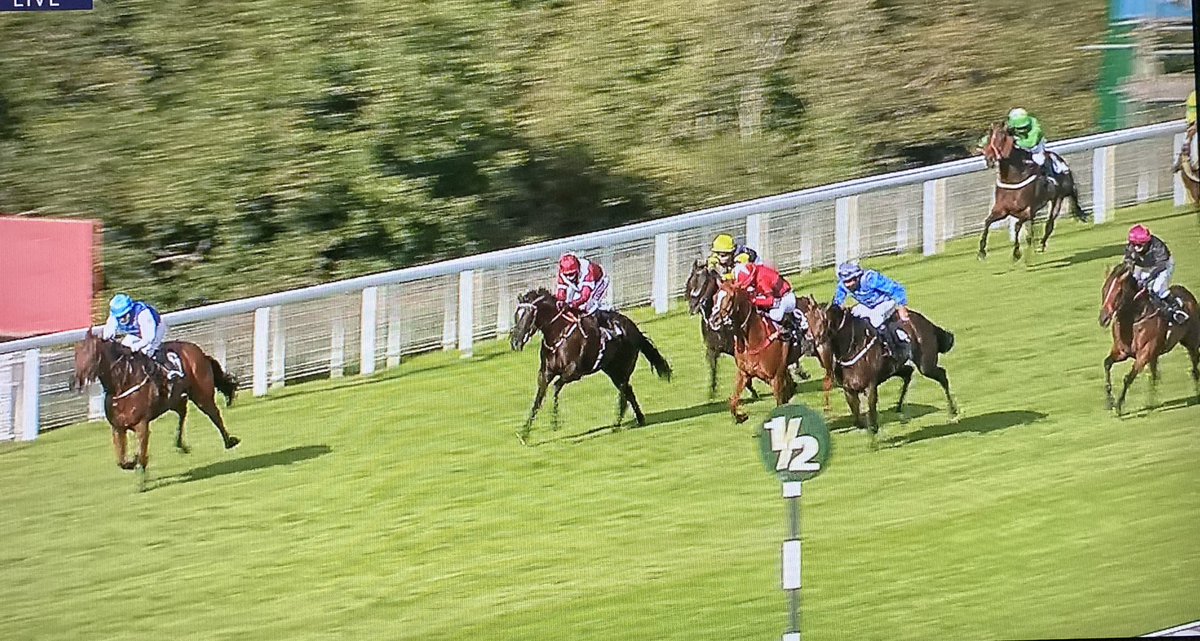 amajox's tweet photo. Congrats @amajox FIRST WINNER @elysia_vaughan #Rafiot #Div2 @Goodwood_Races @gl_racing who trained 1-2 👌#daytoremember #topride #topjock 🏆👏👏👏🥂 https://t.co/9sgeVQRjh7