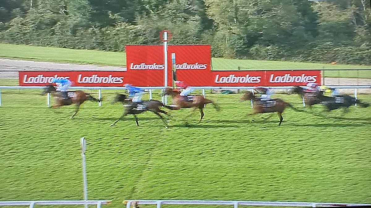 amajox's tweet photo. Congrats @amajox FIRST WINNER @elysia_vaughan #Rafiot #Div2 @Goodwood_Races @gl_racing who trained 1-2 👌#daytoremember #topride #topjock 🏆👏👏👏🥂 https://t.co/9sgeVQRjh7