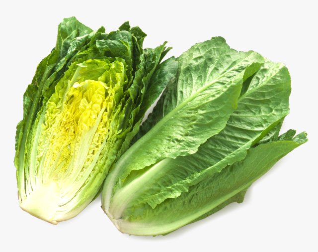 せーは On Twitter 冬が旬の大型野菜ですね W なお白菜自体はキャベツに近い仲間ですが ロメインレタスは白菜みたいな形のレタスです さらなる混乱に招く画像がこちら