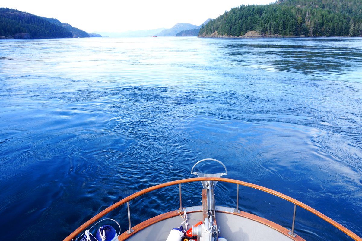 timwshea's tweet image. 