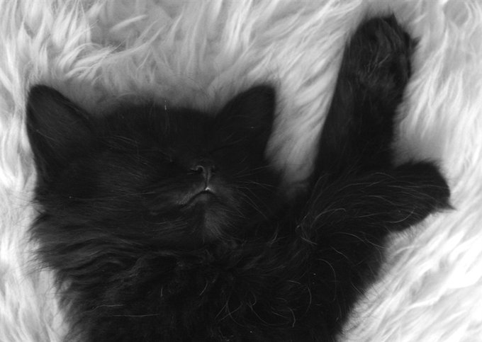 Nati’s pics and videos