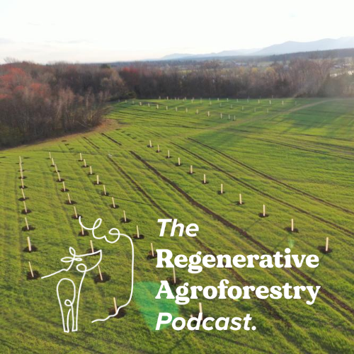 Regagroforestry's tweet photo. Next up: We have an exciting conversation with Ethan, Harry and Jeremy from Propagate Ventures to understand how they are blending cutting edge #agronomy, economic modelling and innovative financing to scale up #agroforestry.
LINK HERE: https://t.co/aiRbbJ6xtG https://t.co/fgovGm35qC