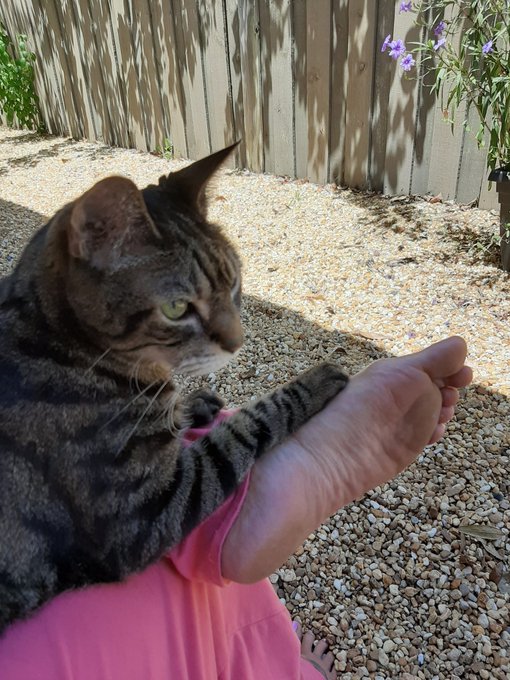 Happy Sunday 🤗 https://t.co/l7Zig05nVv<a href="/tag/greaselightin"class="tags"><span>#greaselightin</span></a>