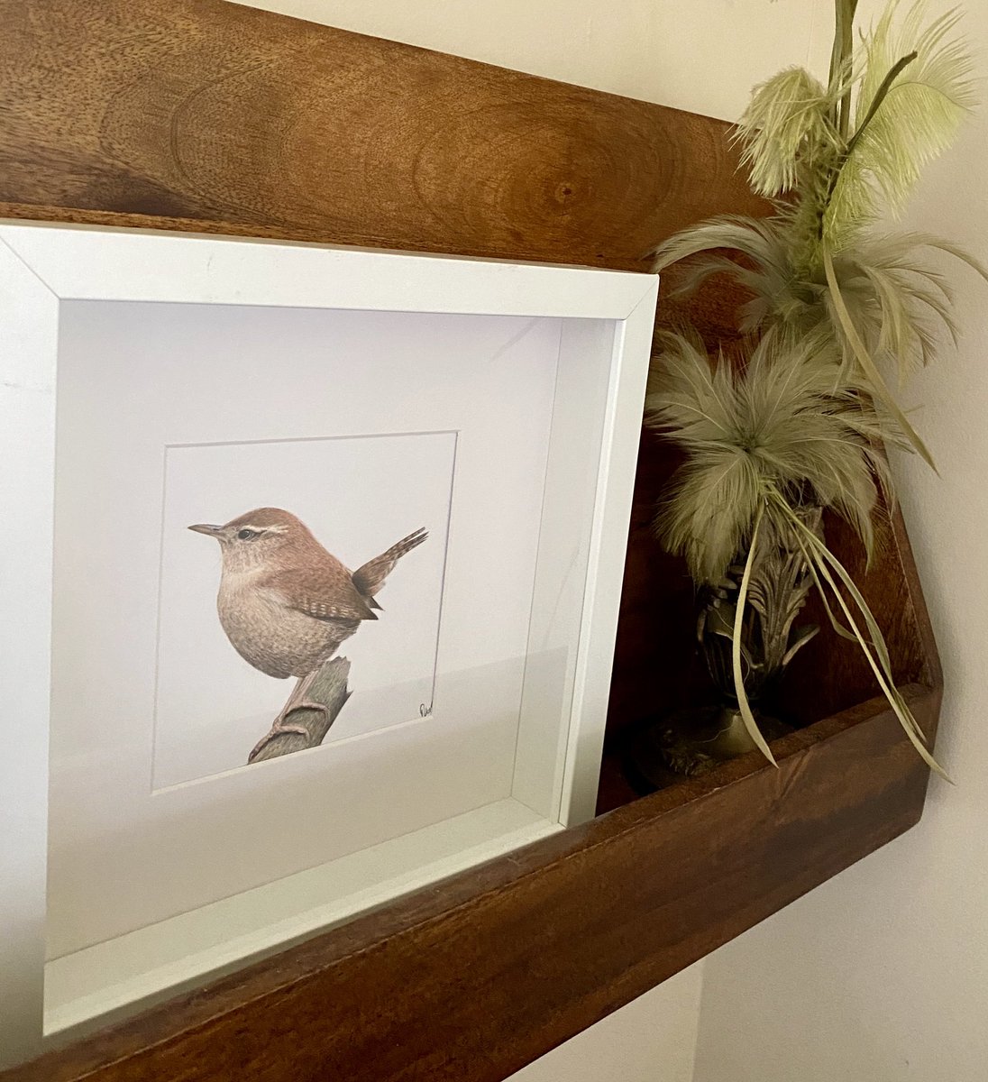 NataliaRojasGo's tweet photo. Check my Instagrampost to know about #birdsforsofia
https://t.co/aZ5RnUrCjy https://t.co/b2YweQg2J2