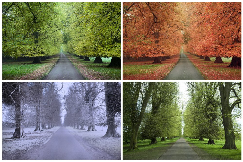 seasons and weather. There are two scenarios: we would either have a very extreme tilt with more extreme weather, or we would have virtually no tilt at all and basically no seasons. (21)