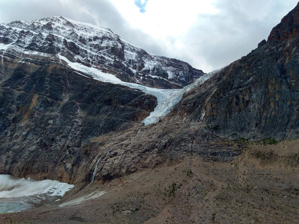bugpath's tweet image. Found some whitebark pine along with white pine blister rust on a great hike in Jasper NP.
