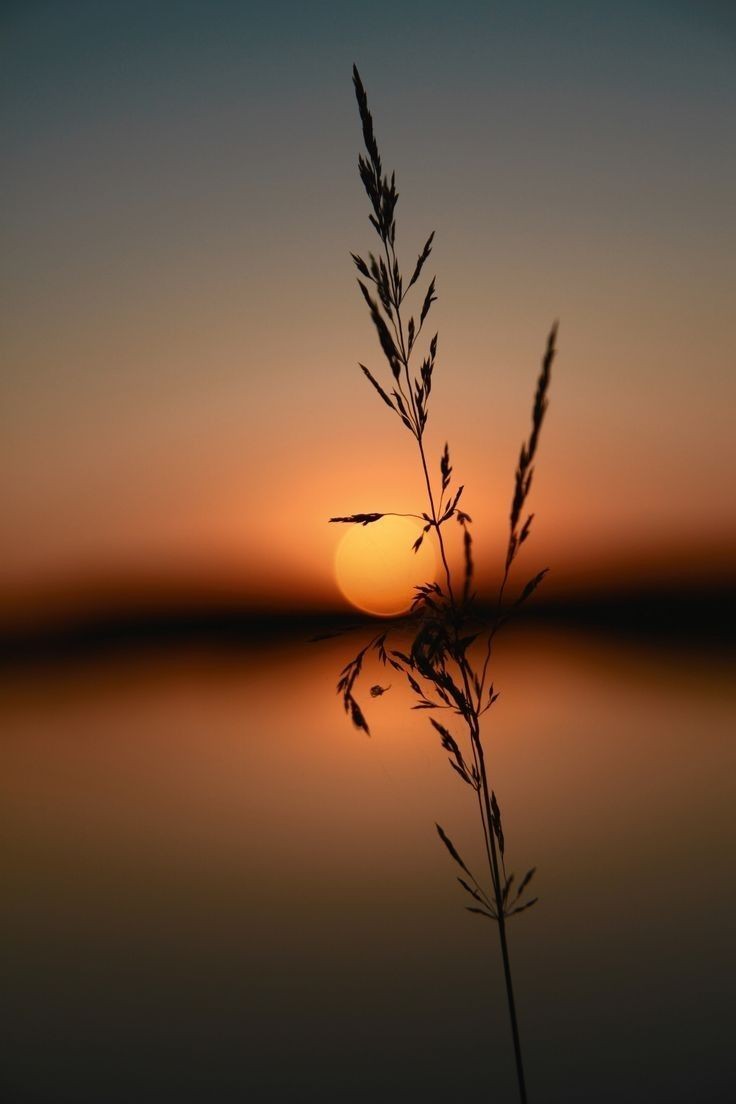 KhalilGaz's tweet photo. @OMarlene094527 Good evening dear #Mariene
💞🙏💞 https://t.co/eP7bHM5JJx