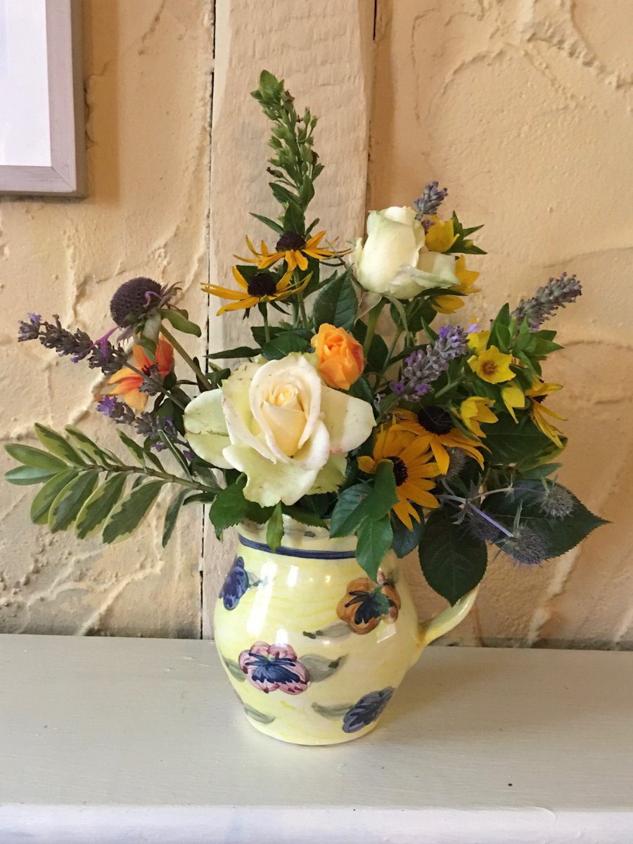 TRISH CARLIN tweet media