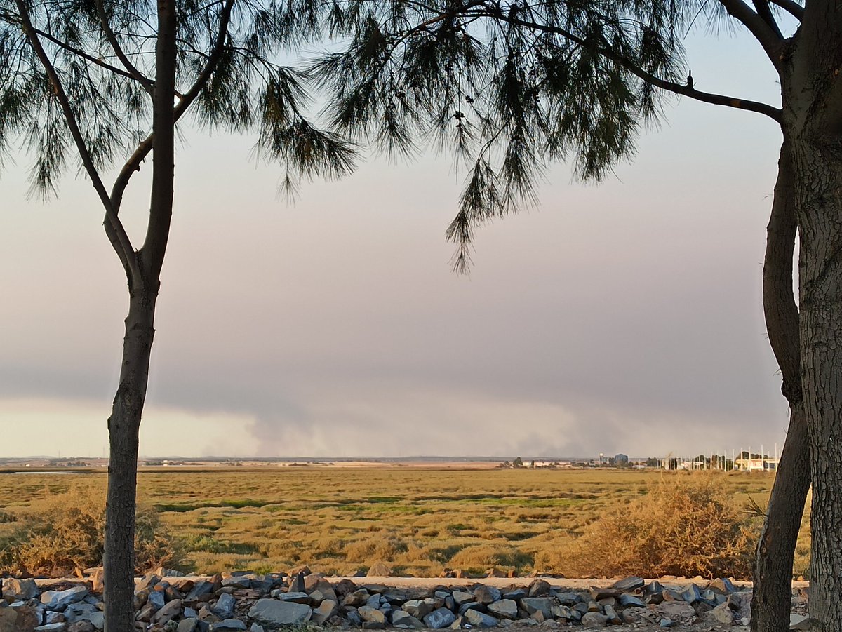 Meteohuelva's tweet photo. El humo del #IFAlmonasterLaReal cubre de nuevo #Huelva y nos sumerge en la más absoluta tristeza. Hoy ha disminuido la fuerza del viento pero no ha sido suficiente para controlar el fuego. Ojalá mañana sea el día. Un aplauso para los héroes que están luchando sin descanso 👏👏👏 https://t.co/niWxDa9ltH