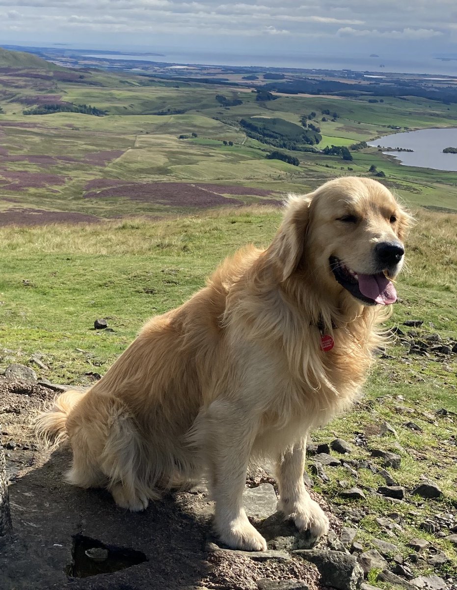 BrokktheGR's tweet photo. A fab day of hill running in Fife’s Lomond hills with The Retired Runner @AllenCMarr https://t.co/280sO3B9hQ