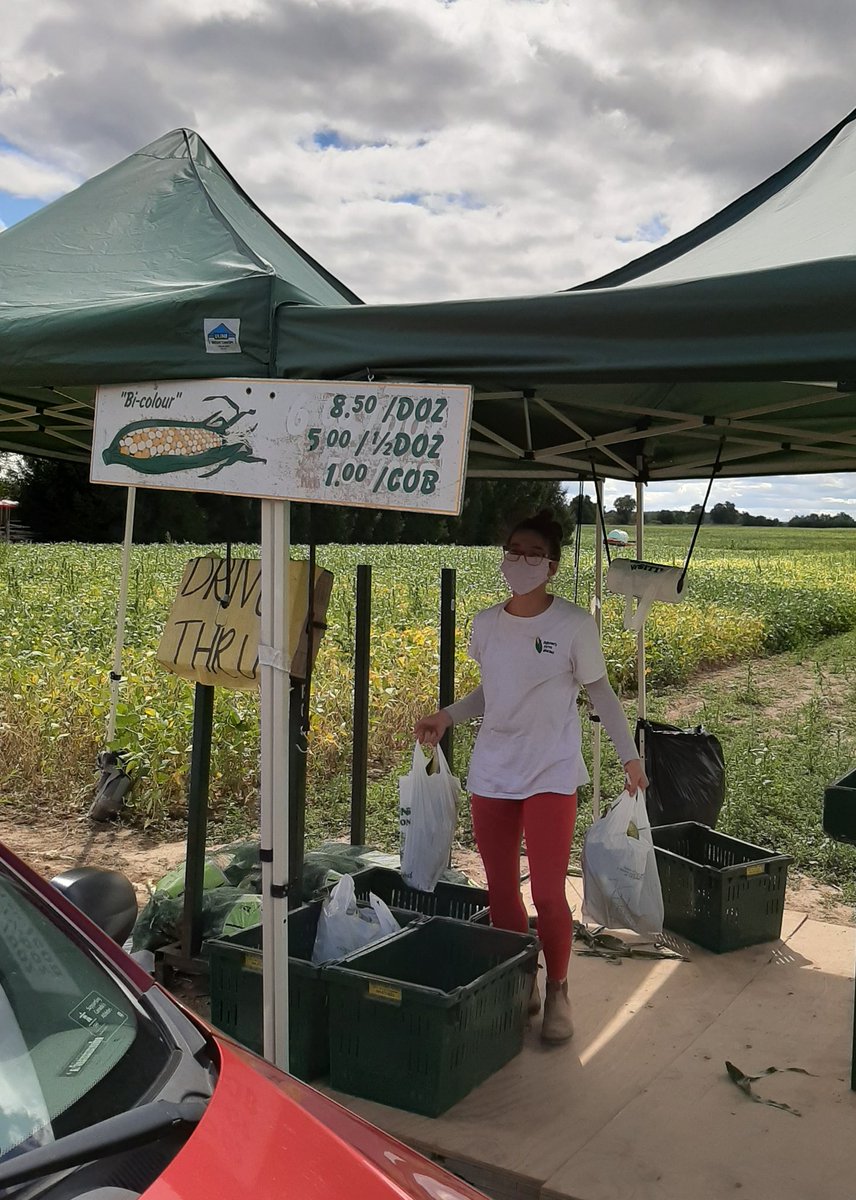 momma_luce's tweet photo. Best idea ever or epitome of laziness #LocalCorn #DriveThruCorn ...either way guess what's for dinner @MikeFollowsNo1 https://t.co/BAuZZDV9ms