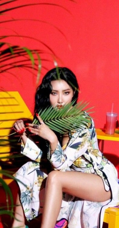 Hwasa is Latina   @RBW_MAMAMOO