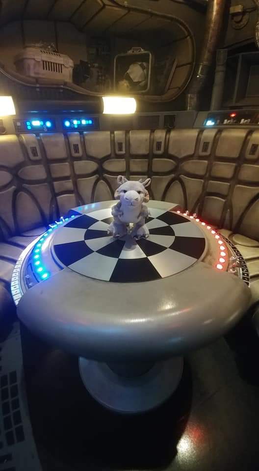 cstephens2's tweet photo. At #smugglersrun in #blackspireoutpost at #galaxysedge at #Disneyland, we were excited to walk down the corridors of the #milleniumfalcon and see the #holochess table. And above it, did you spot Luke's remote trainer and helmet? #dailydoseofdisney #milleniumfalconsmugglersrun 2/5 https://t.co/ATAYlzC4lQ