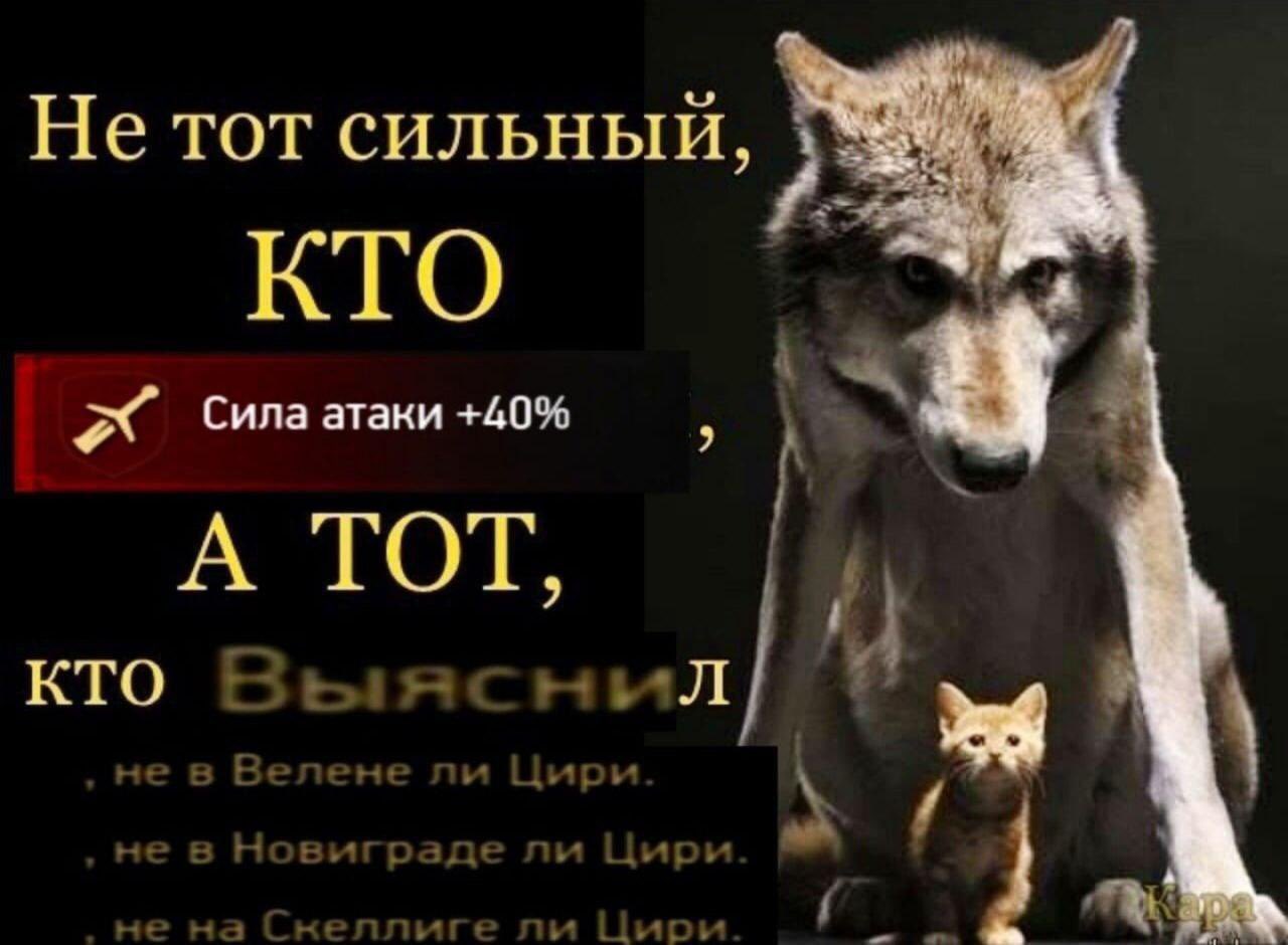 EgsLeauWkAEA25V?format=jpg&name=large