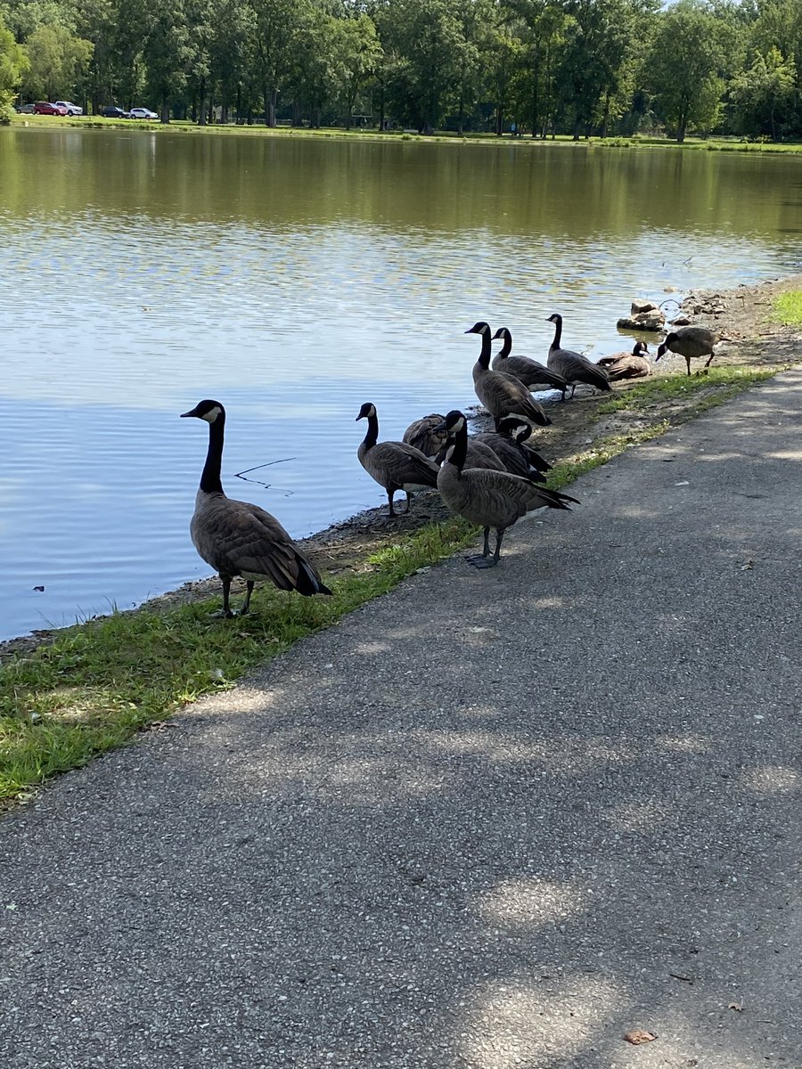 WalktheMom's tweet photo. After a handful of 12 hour days in the office the last few weeks, a much needed solo #walkthemom today.

Kiddos are back in school, so now to figure out our adventures! https://t.co/nbkm78Yzzc