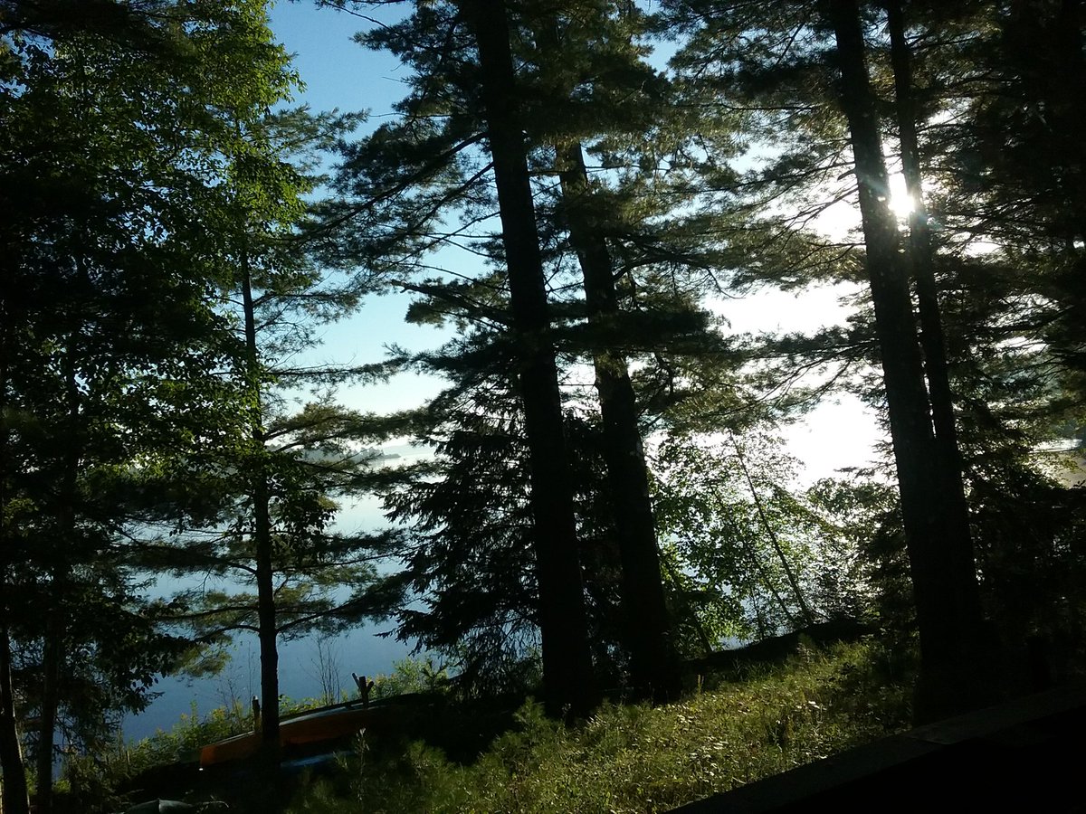 SdsSister's tweet photo. Home after a quiet week of retreat in the north woods Wisconsin.  Thanks to our gracious God for the time and the fresh beauty of the earth https://t.co/O58NEDtG2s