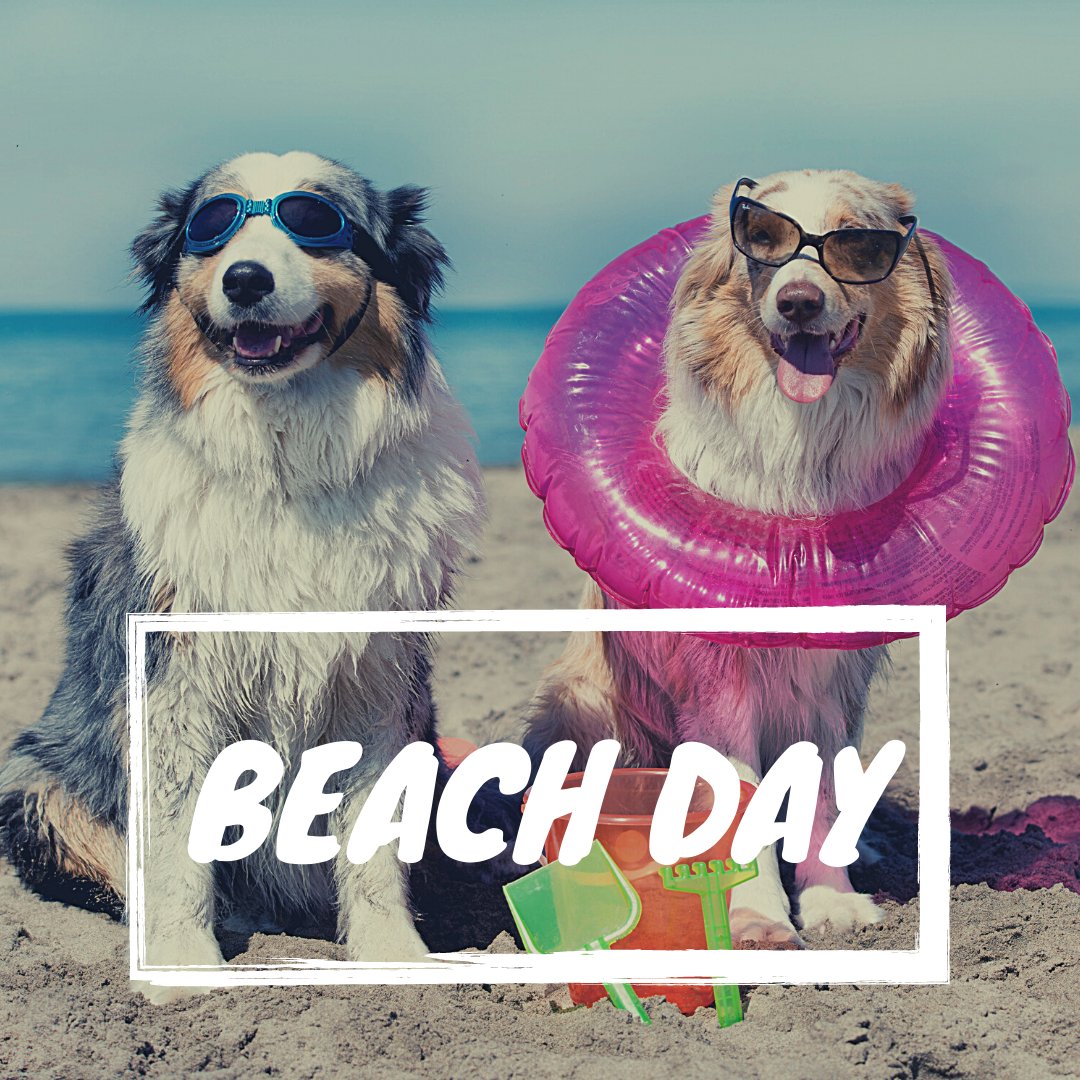 DID YOU KNOW? Today is National Beach Day! Share your favorite beach ...