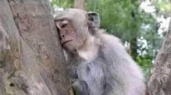 LAChuene's tweet photo. They is no relationship here ...8 months be serious tuu! #Uyajola99sunday https://t.co/v4YruzVpvi