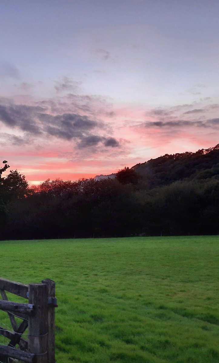 Welshmam3's tweet photo. The green, green grass of home.
Cymru ❤ https://t.co/Fl4vreoxhM