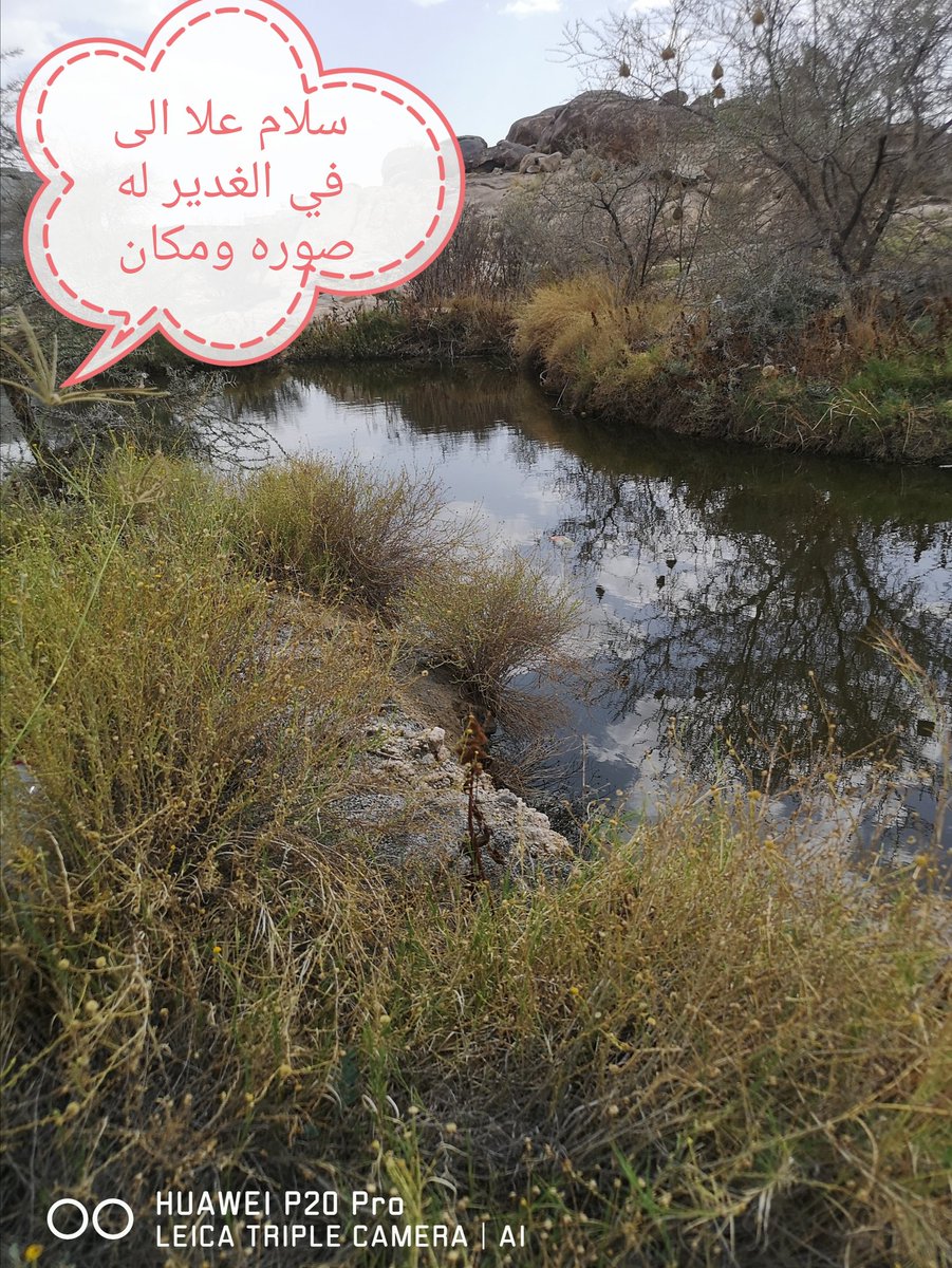 أبو باسل  وجسار (@fsf_44) on Twitter photo 