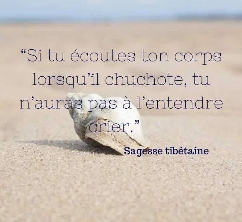 So4real Si Tu Ecoutes Ton Corps Lorsqu Il Chuchote Tu N Auras Pas A L Entendre Crier Sagesse Tibetaine Citation Citations Inspiration Proverbe Philosophie Motivation Conscience Santementale Choix Soins Sante T Co So4real Si Tu Ecoutes Ton Corps Lorsqu Il Chuchote Tu N Auras Pas A L Entendre Crier Sagesse Tibetaine Citation Citations Inspiration Proverbe Philosophie Motivation Conscience Santementale Choix Soins Sante T Co
