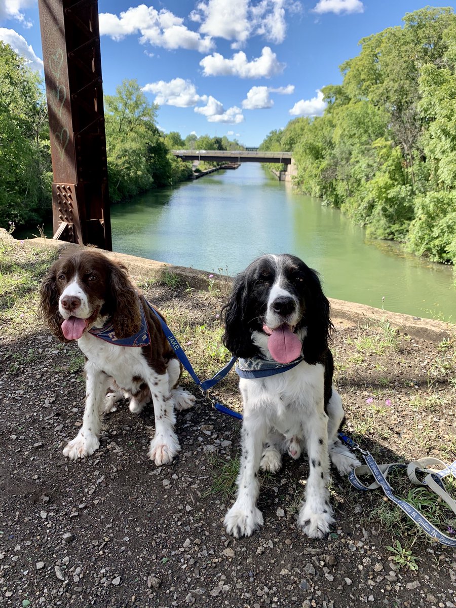 Sunday in the Park with Jack n Jake. Crossing the Erie Canal as it intersects the Genesee River   We all remember Genesee Cream Ale. Well that old college gem is still made right here in Rochester NY