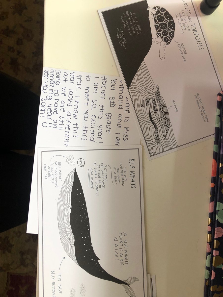 Catie Symalla tweet media