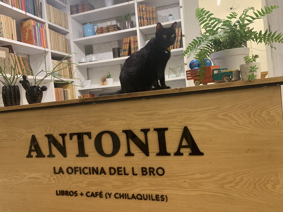 ¡Ya abrimos <a href="/laodellibro/">Antonia. La oficina del libro</a>! Vengan a visitarnos de lunes a domingo, de 11 a 17 horas. Acá anda Günther.
