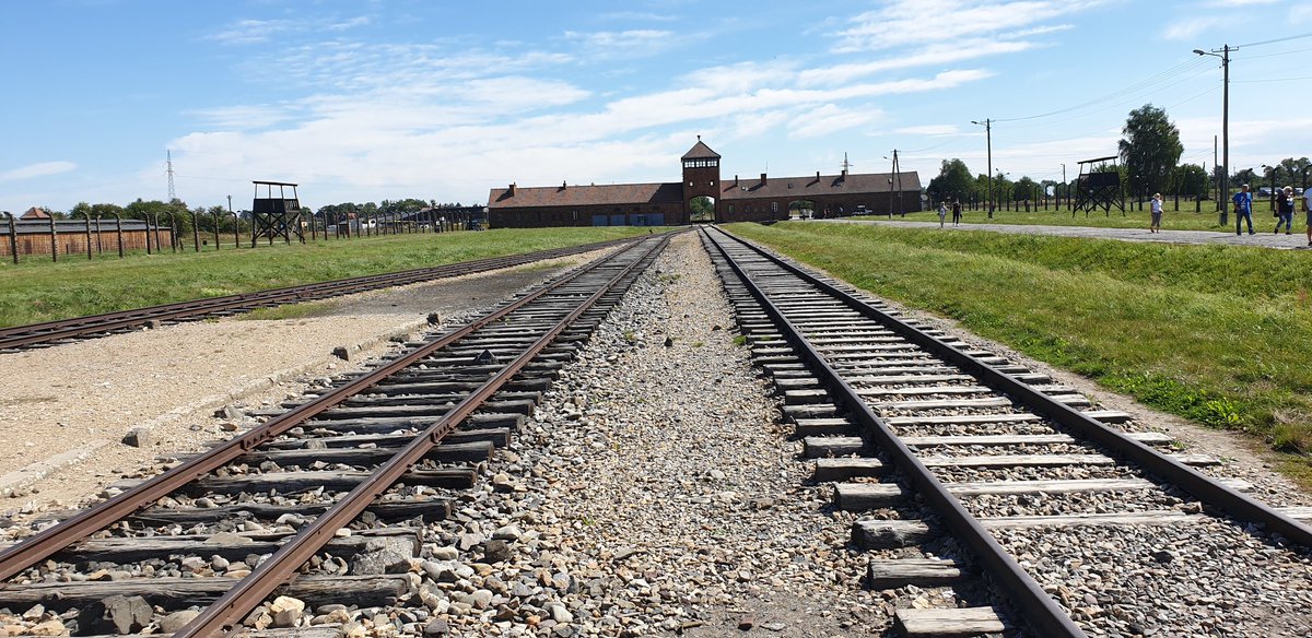 colls62's tweet image. Auchwechz. Video coming tomorrow