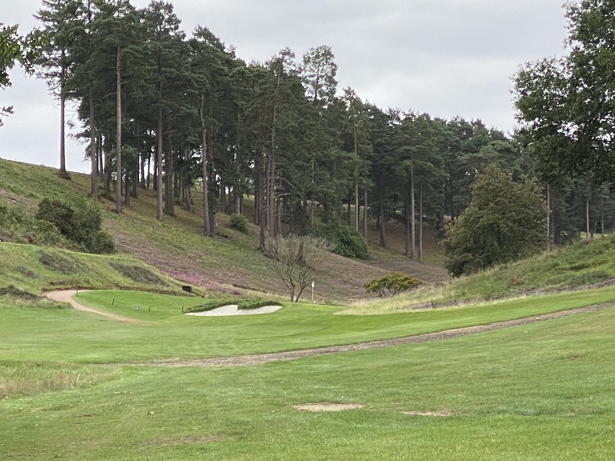 JonathanStern18's tweet image. Admittedly, I’m not as accomplished at housework as you @Stevehatherly, but I think we can all agree - it’s all about the journey on the #RacetoPA. And golf counts! #powerfulpartnerships #hindheadgolfclub