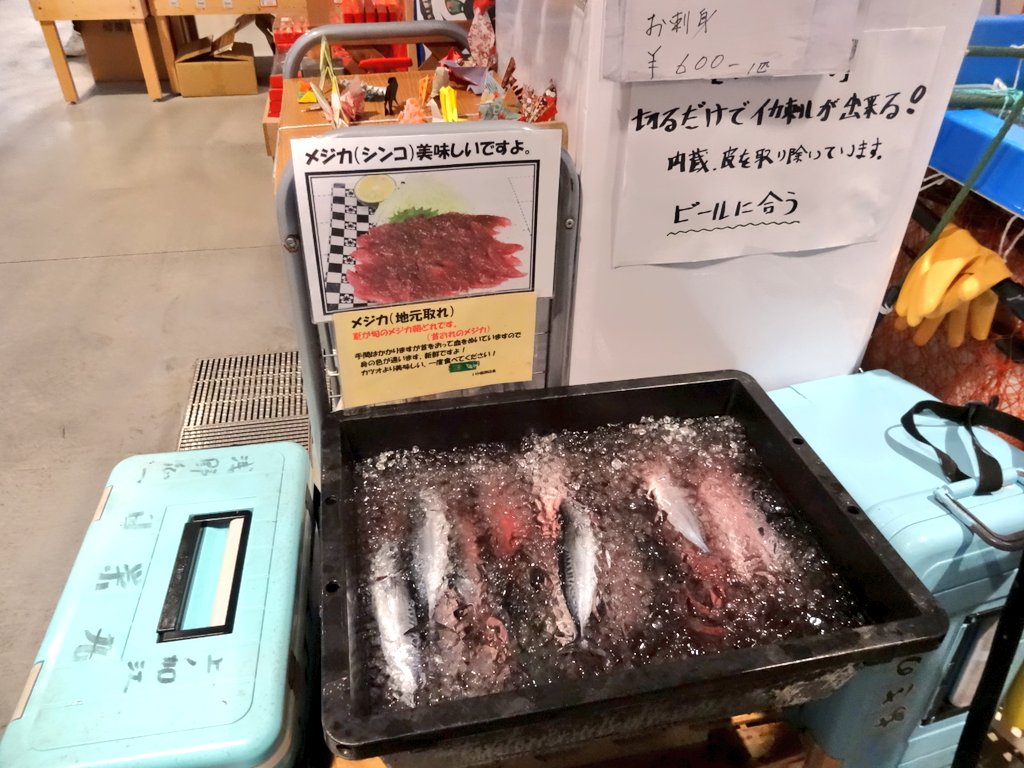 pear_picture153's tweet image. めじかの #しんこ を初めて食べた。
1ヶ月程しか水揚げされず、刺身はサバの2倍の速さで鮮度が落ちるため、獲れた日にしか食べられない。
須崎市や中土佐町以外にはほぼ出回らない幻の魚。
ぶしゅかんと呼ばれる酢みかん&amp;amp;醤油につけて食べる。
身は意外にもちもちしていて弾力もあり、とても美味しい。