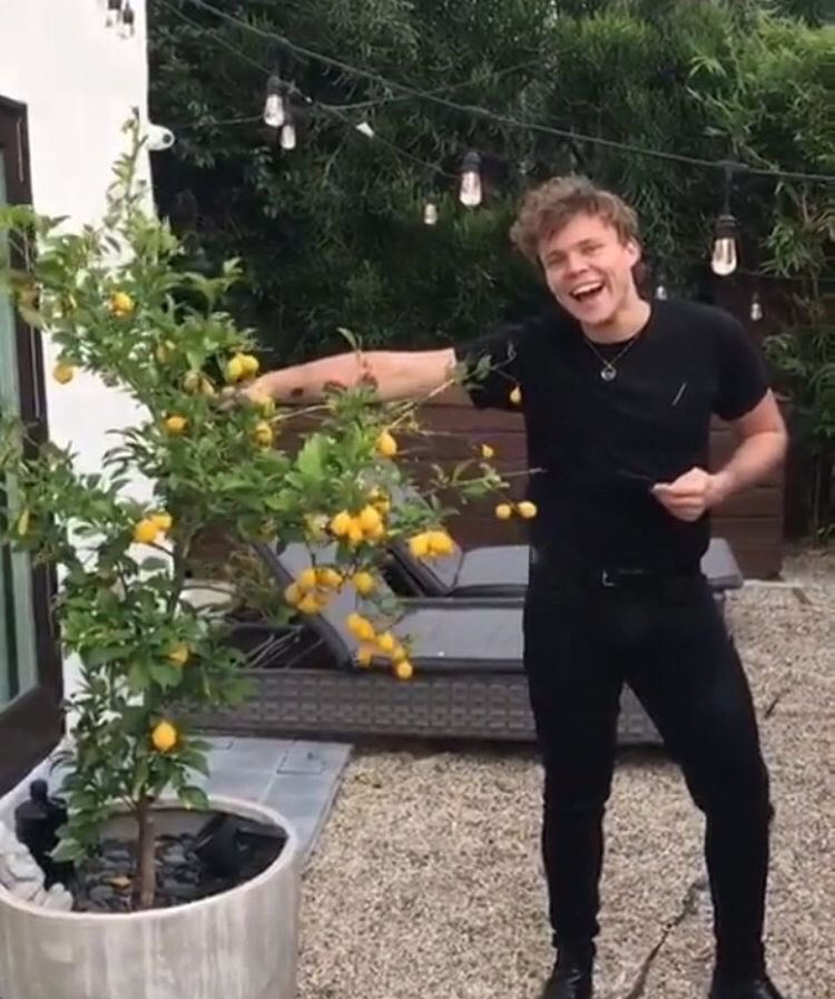 REDTEAMCALM's tweet image. ‼️THIS or THAT‼️
Question 39:
LEMON TREE or (TOMATO) STRAWBERRY?

#STREAMNITSW