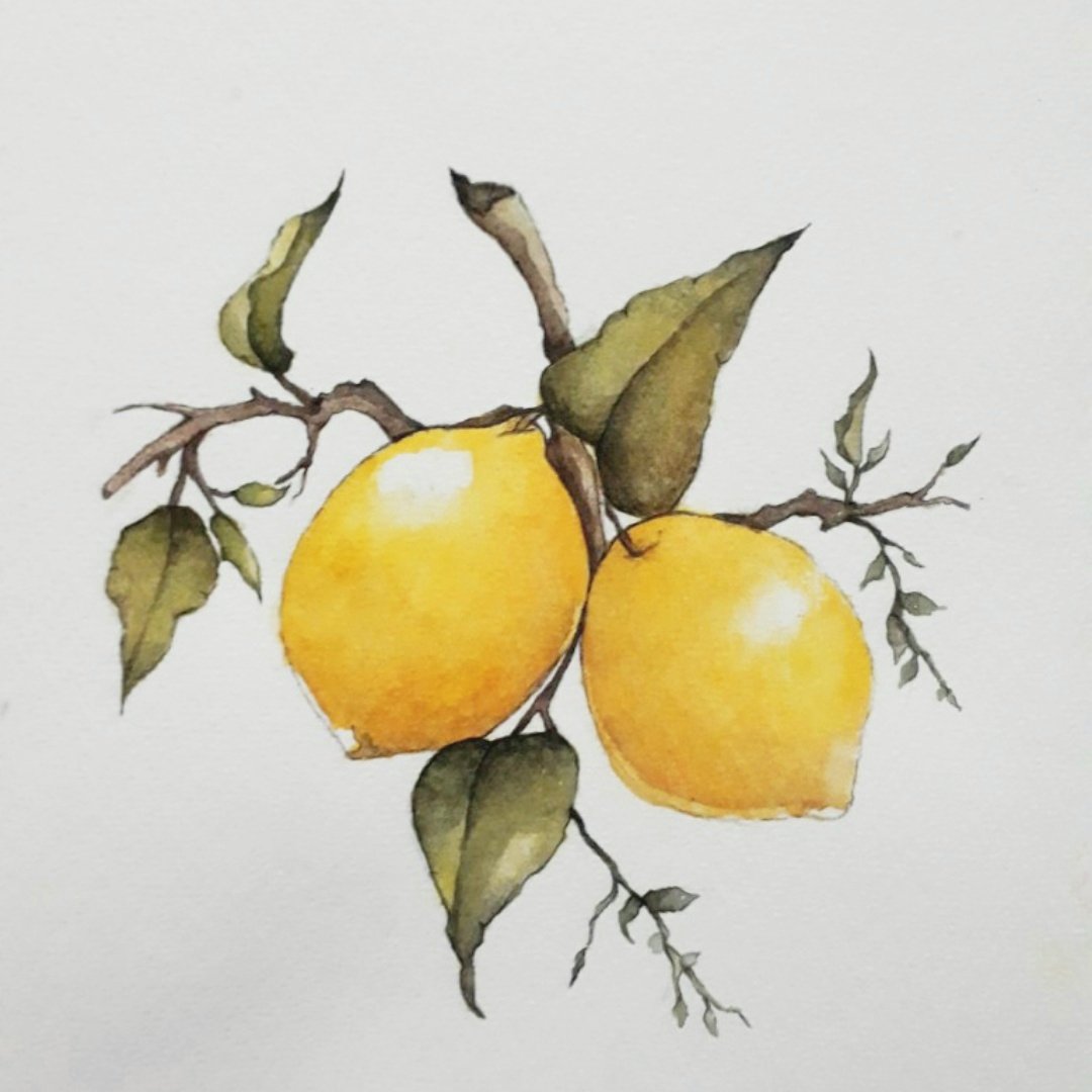 Otras prácticas que he hecho con acuarela  :)  #Watercolor