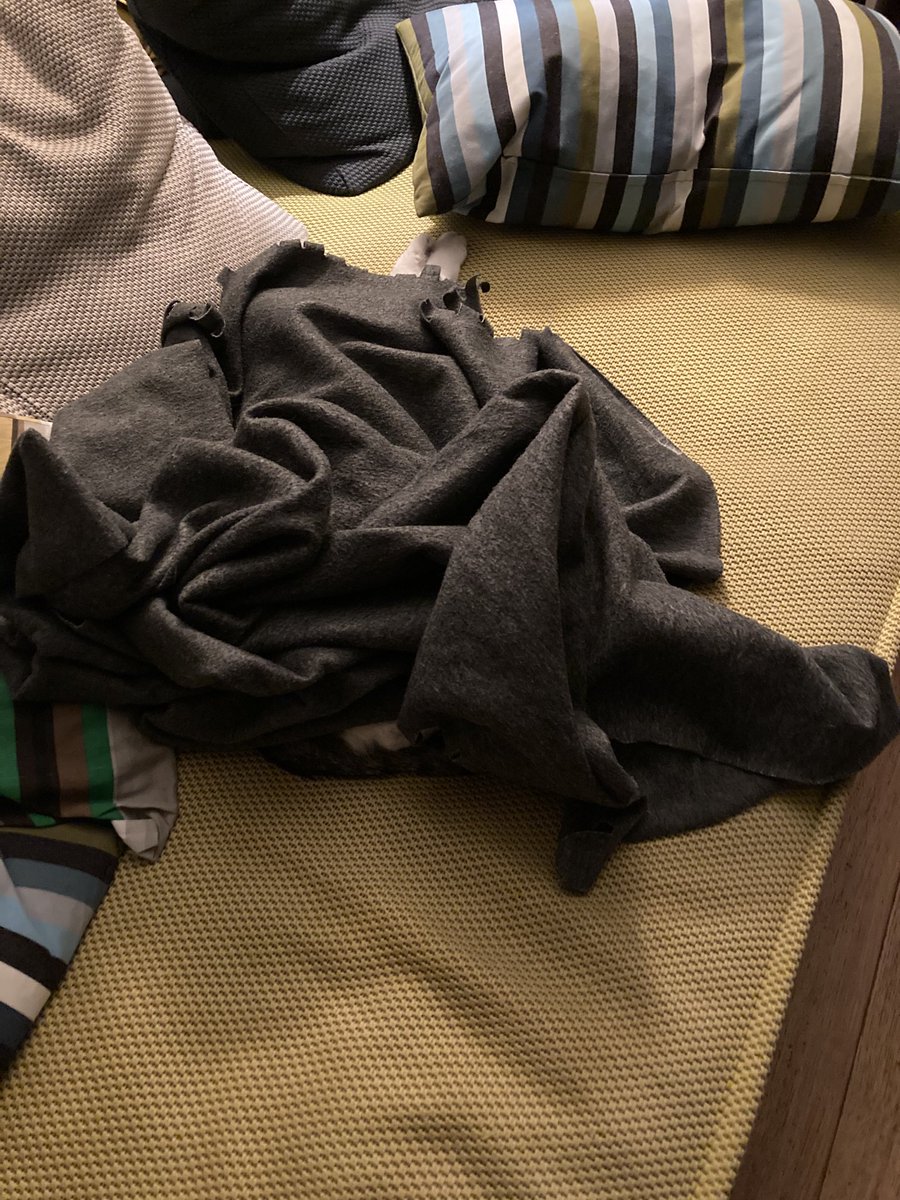 GastonChaChat's tweet image. Chuis #chatcaché !