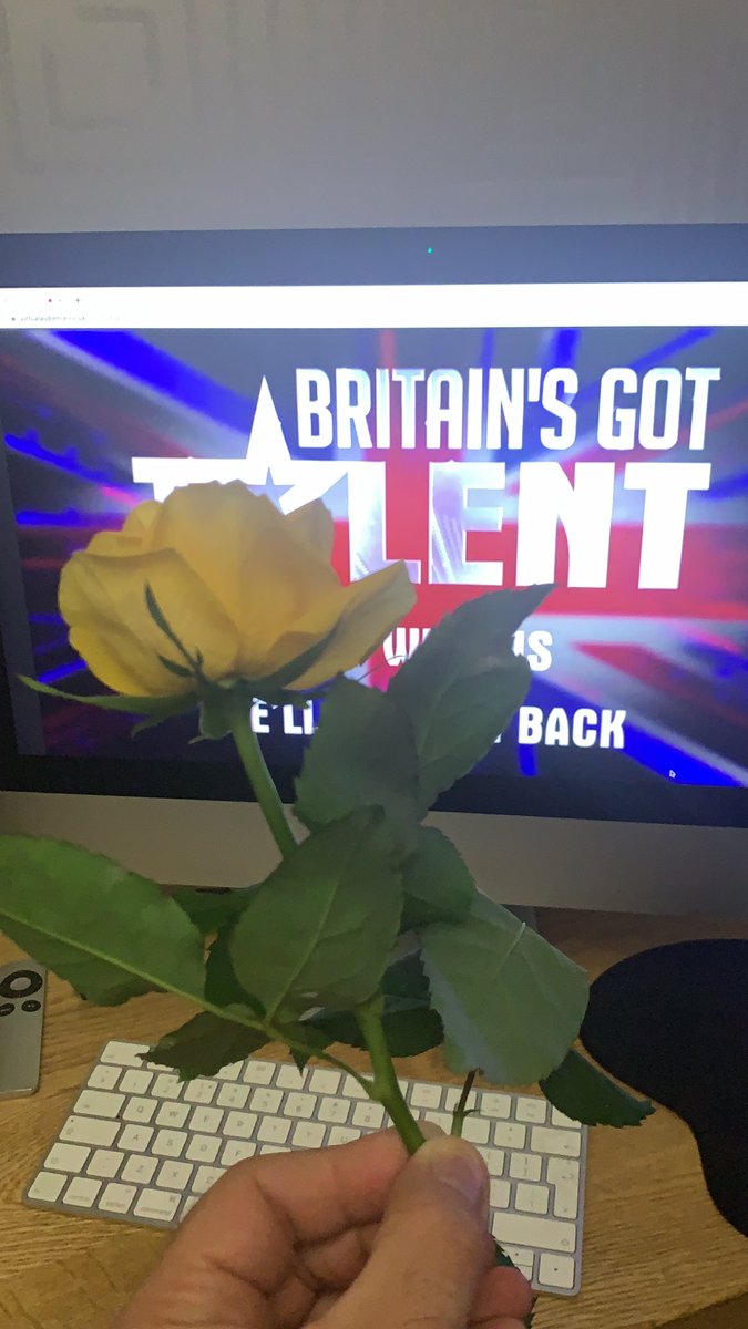 BignellsCorner's tweet photo. @Andyshowbiz a yellow rose is better than a yo yo.... https://t.co/UgRwsa4bKN