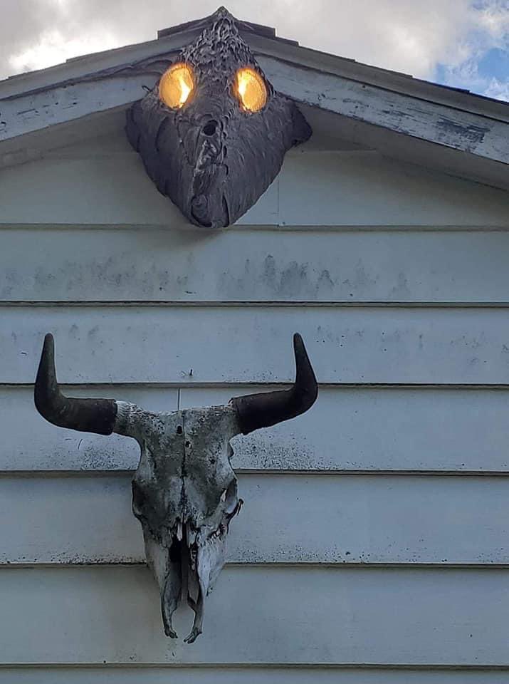 This is a wasp nest that has grown around the flood lights on a garage and yes you will see it in your nightmares tonight