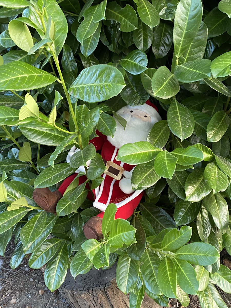 sassafraslowrey's tweet photo. Santa is ALWAYS watching!!!!!!!!!! Under 4 months until Christmas!!!! #merrylittlechrisrmas #little #littles #littlespace #santa #littlespacecommunity #find #magic #wonder #findmagic https://t.co/jcKViV4VyS