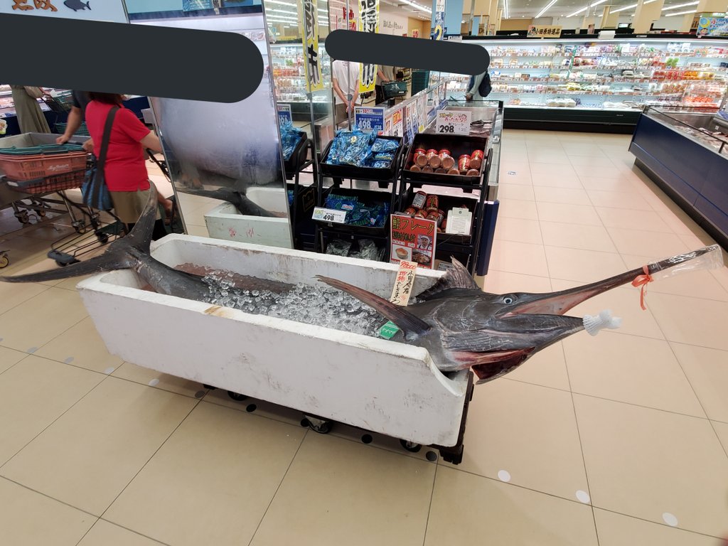 Netgeek動物 102kgカジキマグロ 98 000 スーパーでやばいものが売られていた Netgeek T Co 1gozel1etu