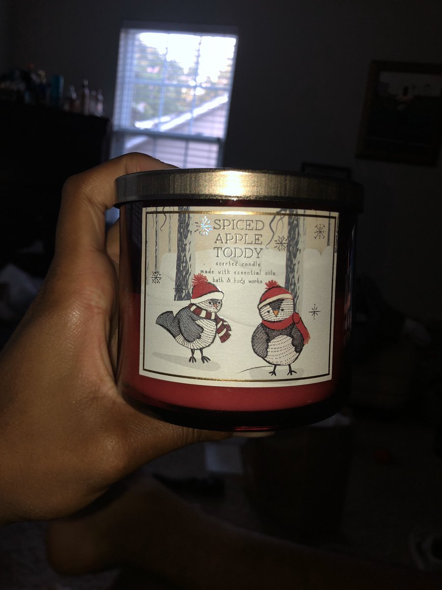 This candle smells like the Leaves candle except it’s slightly better in my opinion. Definitely one of my favs. Technically a holiday candle but you can burn it throughout the year 9.5/10