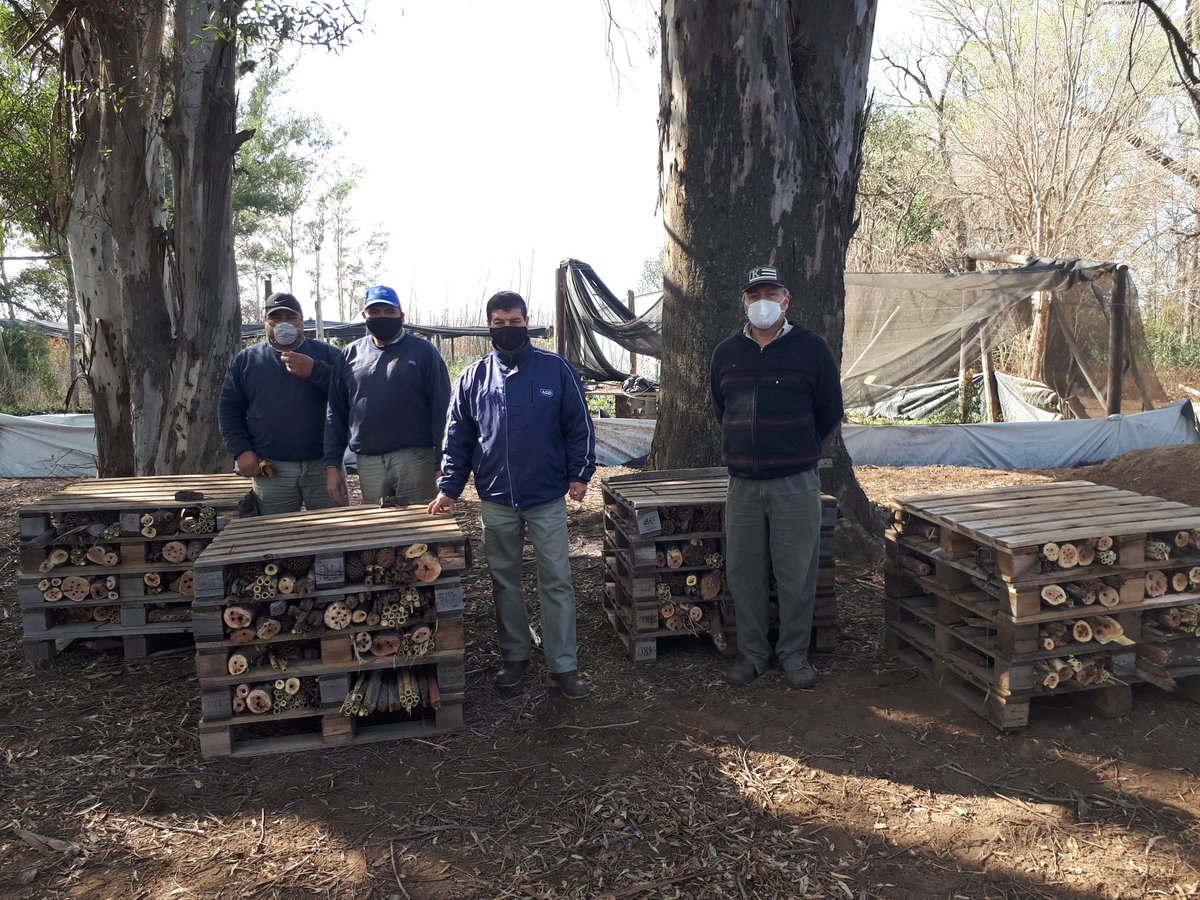 En el Marco de la Pandemia, intentamos seguir trabajando, tratando de transmitir a los jóvenes nuevas y diversas formas de cuidar la biodiversidad, El día Jueves 27/8 Entregamos 4 prototipos de hoteles para polinizadores a la Escuela IPEA 213 Agrotecnica de la Carlota...