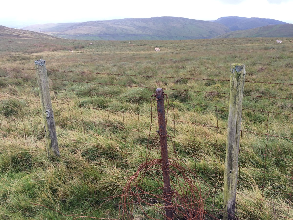 The peat's eroding. Changing the climate. There's lots being done by  @CumbriaWildlife to restore these places. Much more still to do.Old metal fence stakes laughed at the young wooden upstarts: "We're still here, you'll only last 15 years..."