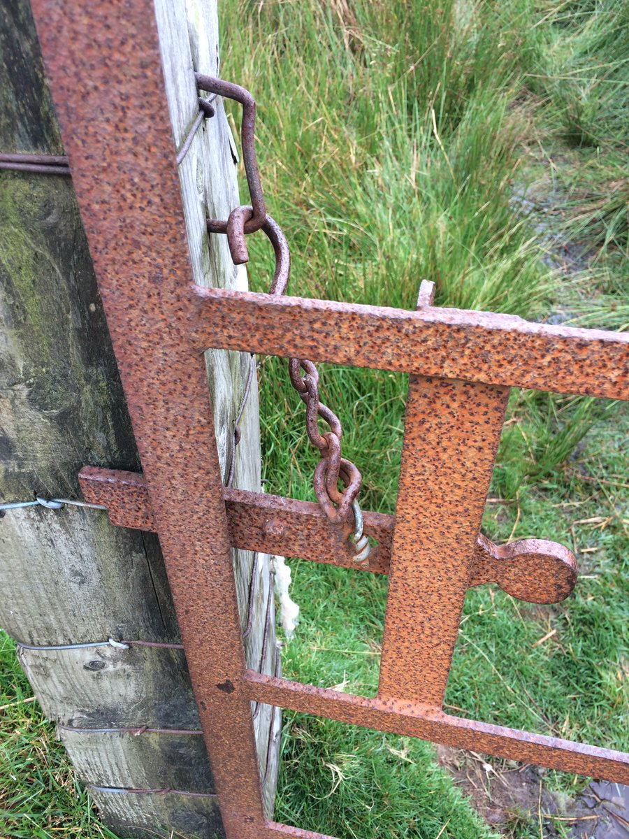 It's mainly 'open access' around there. But this gate was wired shut? Sheep showed me the answer. This sustainable stile did the rest. Celebrated finding the 'trig point' Alfred had drawn fifty years ago  @OrdnanceSurvey