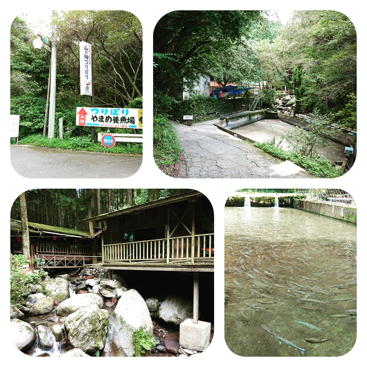 しう そと キャンピングカー生活 放浪旅休止中 去る土曜日 山の神釣堀センターの様子を見に立ち寄ったところ 14時過ぎてたからか空いてました 豪雨被害の影響でヤマメが不足してるため釣堀は休止 お食事のみの営業だそうです 9 15まで 山鹿市 しう そと キャンピングカー生活 放浪旅休止中 去る土曜日 山の神釣堀センターの様子を見に立ち寄ったところ 14時過ぎてたからか空いてました 豪雨被害の影響でヤマメが不足してるため釣堀は休止 お食事のみの営業だそうです 9 15まで 山鹿市