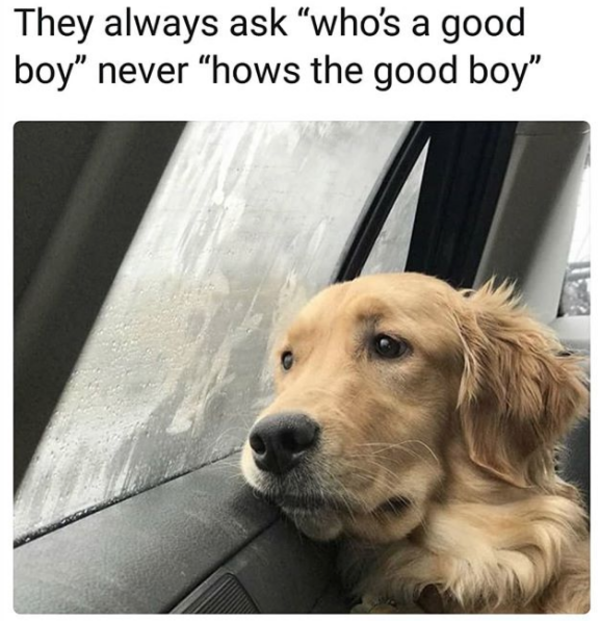Mental health reminder to ask your friends and loved ones "How" they are doing, and really mean it. This is just the cutest meme/img that came to my head to tweet this :)