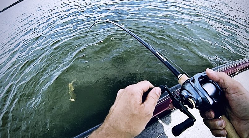 Torlee Fishing Torleefishing Twitter