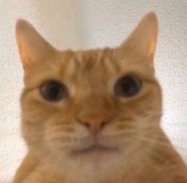 IsssQT's tweet image. 