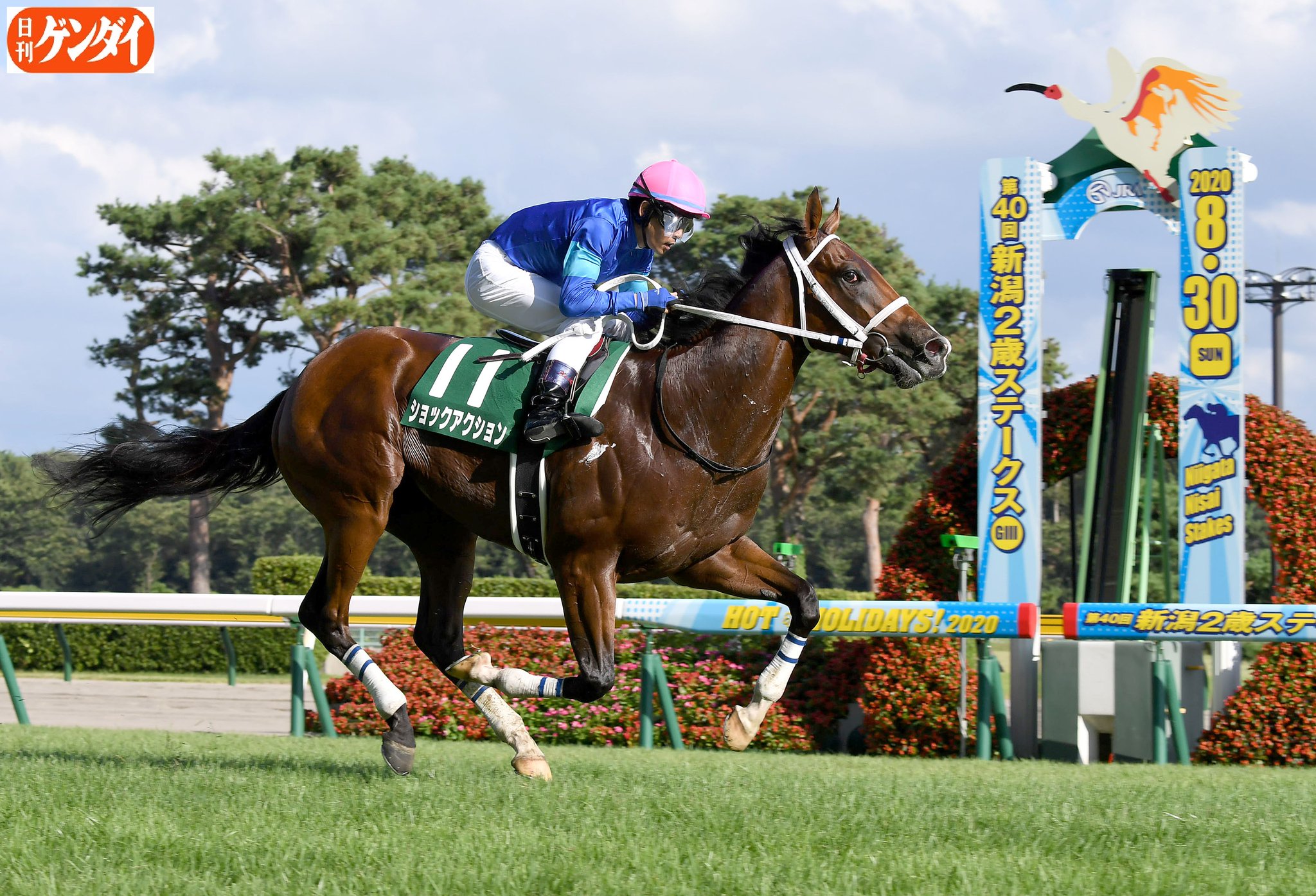日刊ゲンダイ 競馬 در توییتر 新潟2歳sはロイヤルブルーの勝負服 ゴドルフィンのワン ツー決着に 勝ったのは 愛国グレンイーグルス産駒のショックアクション 鞍上の戸崎騎手は 関屋記念に続く重賞v 勝ち時計1分34秒6 着はブルーシンフォニー 着は 日刊ゲンダイ 競馬 در توییتر 新潟2歳sはロイヤルブルーの勝負服 ゴドルフィンのワン ツー決着に 勝ったのは 愛国グレンイーグルス産駒のショックアクション 鞍上の戸崎騎手は 関屋記念に続く重賞v 勝ち時計1分34秒6 着はブルーシンフォニー 着は