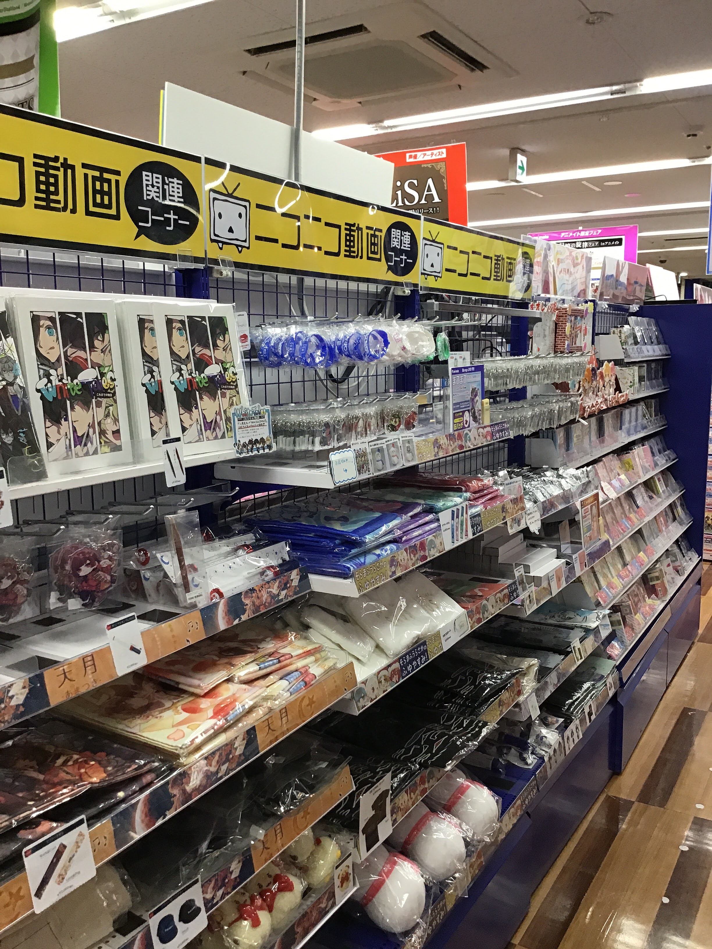 アニメイト池袋本店 展開情報 ただいま当店では ニコニコ動画 や Youtube など動画配信者さん達のcdコーナーを7fにて展開中 Eveさん 天月さん そらるさん まふまふさん はグッズも販売中 アニメイトオンラインでは 歌い手特集