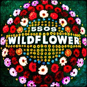 GrethmarR's tweet image. 5sos had to be the winner! WILDFLOWER IS THE BEST VIDEO FROM HOME😭😭 #VMAs2020 #5SOSForVMAS #5sos